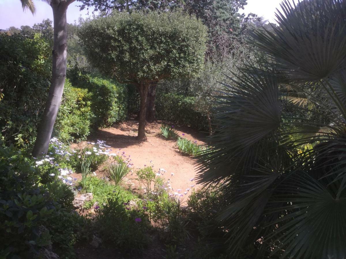 Villa Macoran 2 Etoiles Saint Aygulf Buitenkant foto